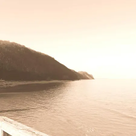 Lachmoewe Sellin (Rugen)