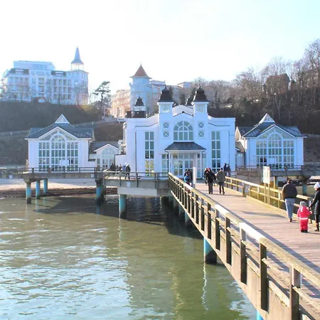 Lachmoewe Sellin (Rugen)