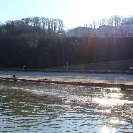 Lachmoewe * Sellin (Rugen)