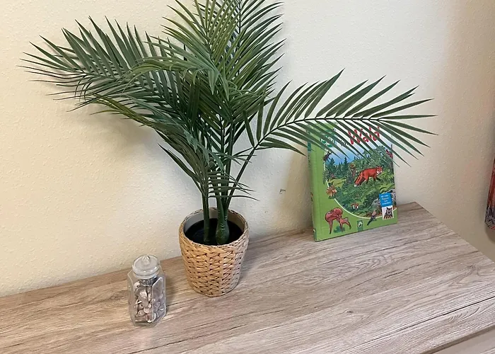 Lägenhet Lachmoewe *