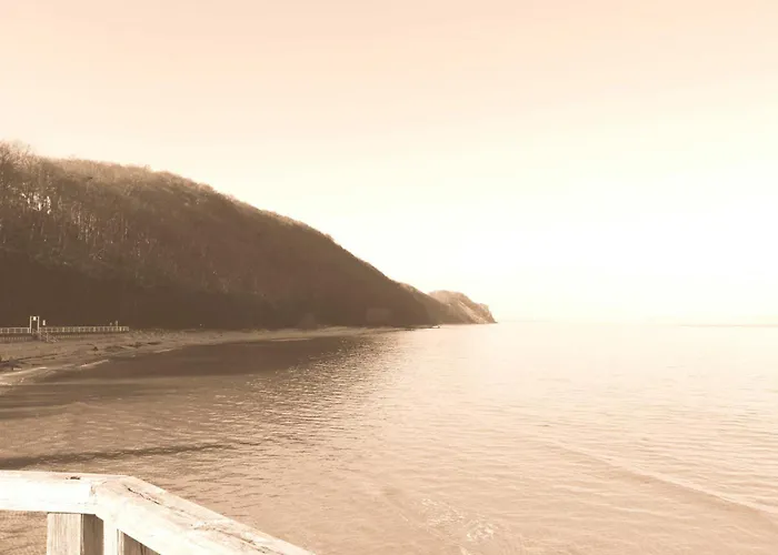 Lachmoewe Sellin (Rugen)